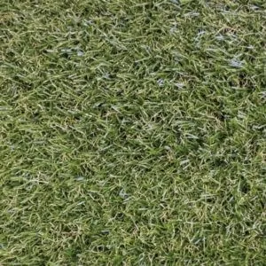 Prado